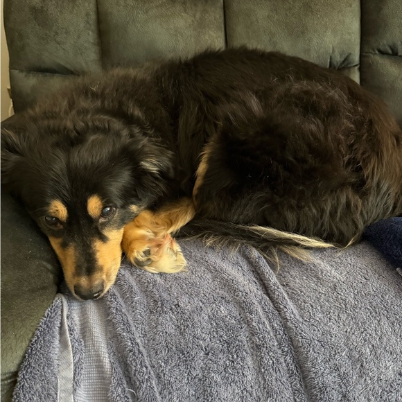 Meet your Posher, Lee . Unique pieces available here ! Enjoy shopping! - Picture 5 of 6